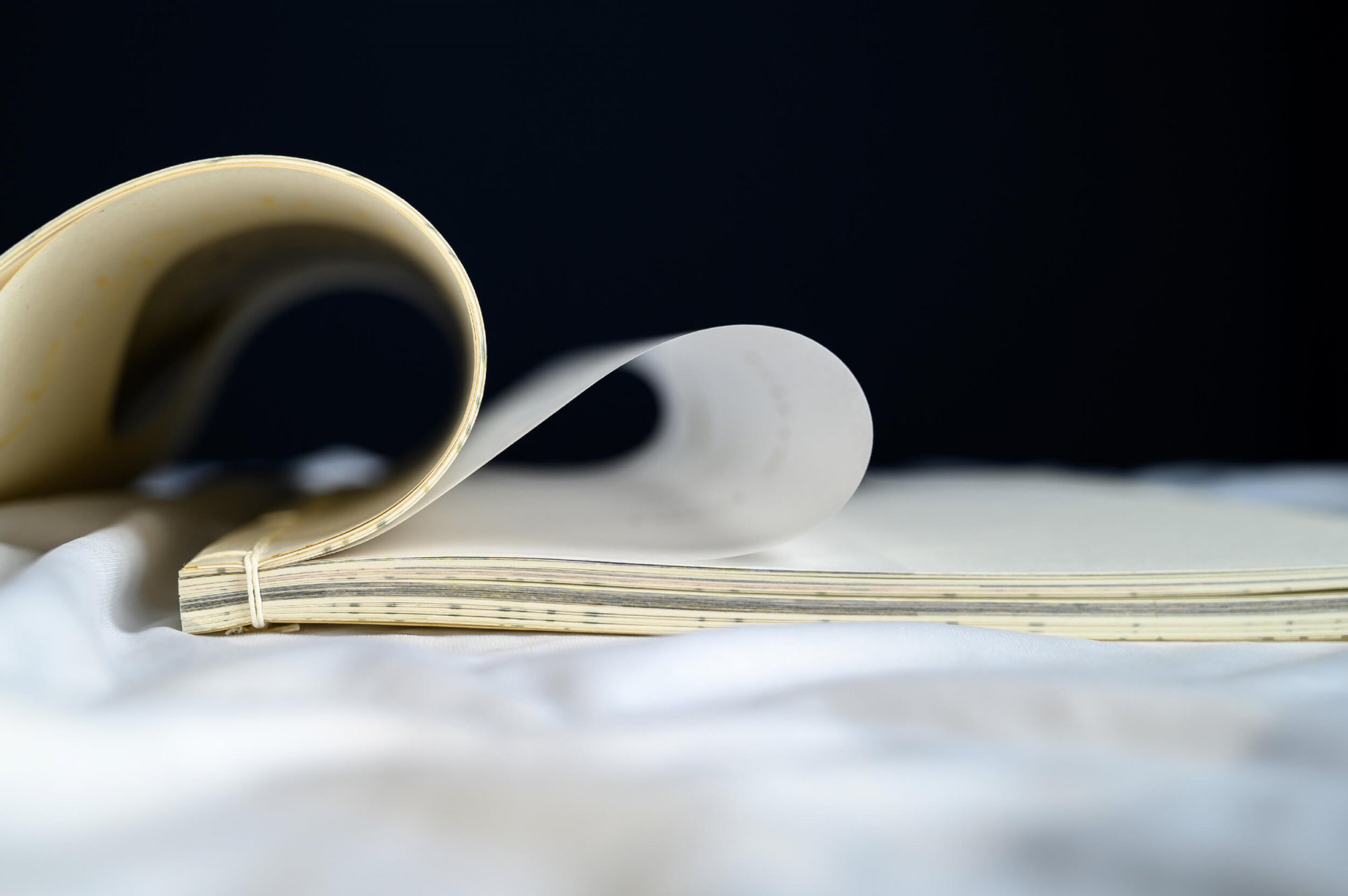 commeunarbre-conception-fabrication-reliure-2000×1330