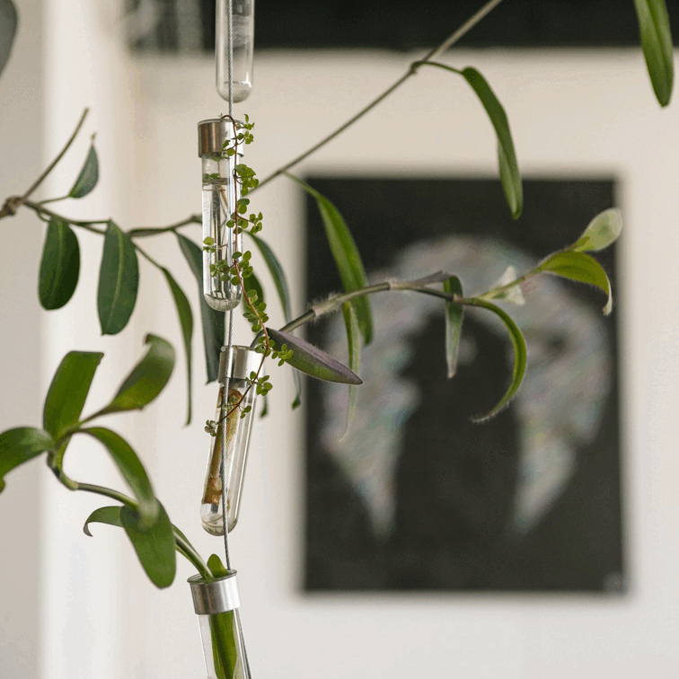 gif Comme un arbre