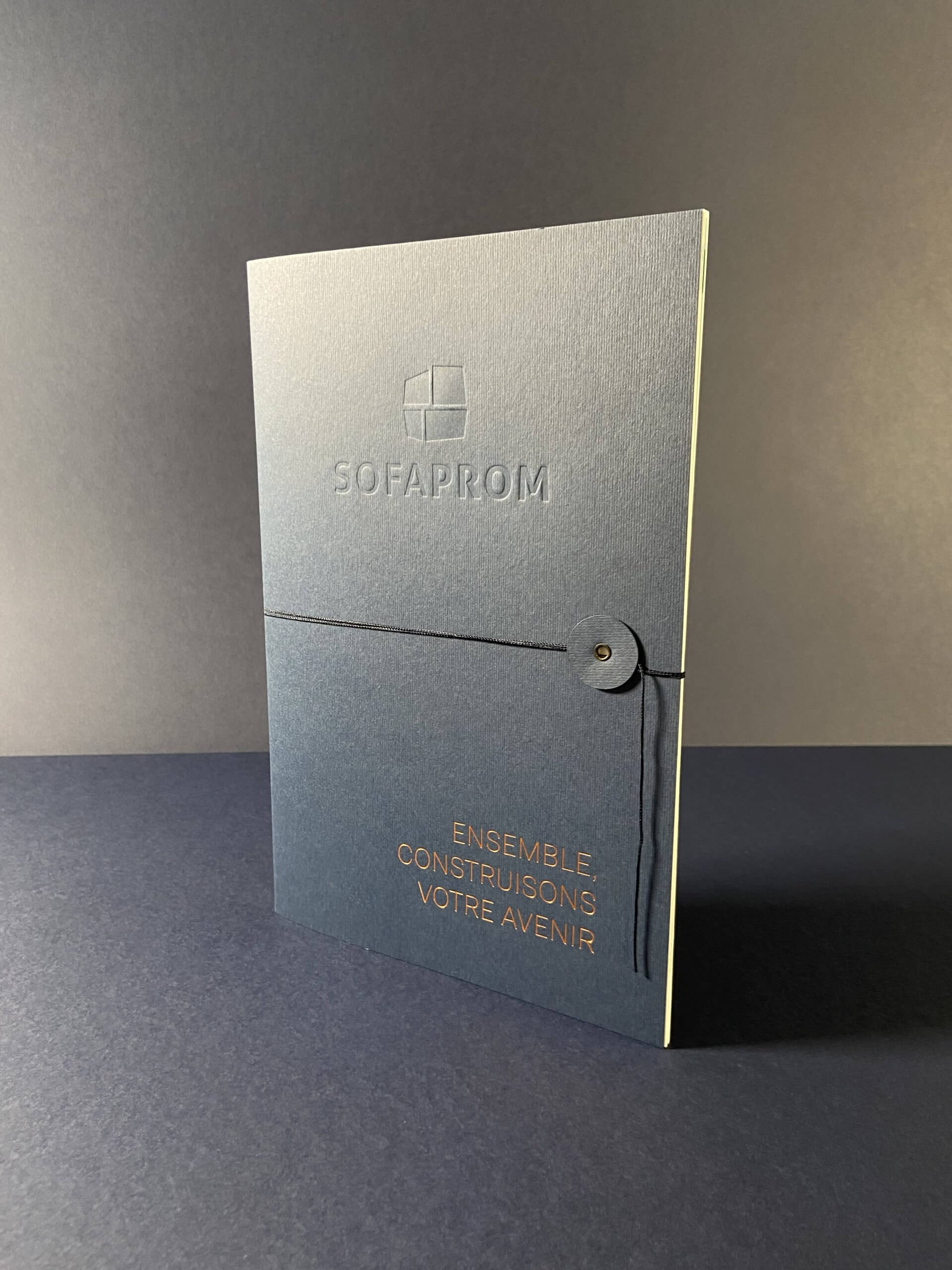 Sofaprom plaquette-1