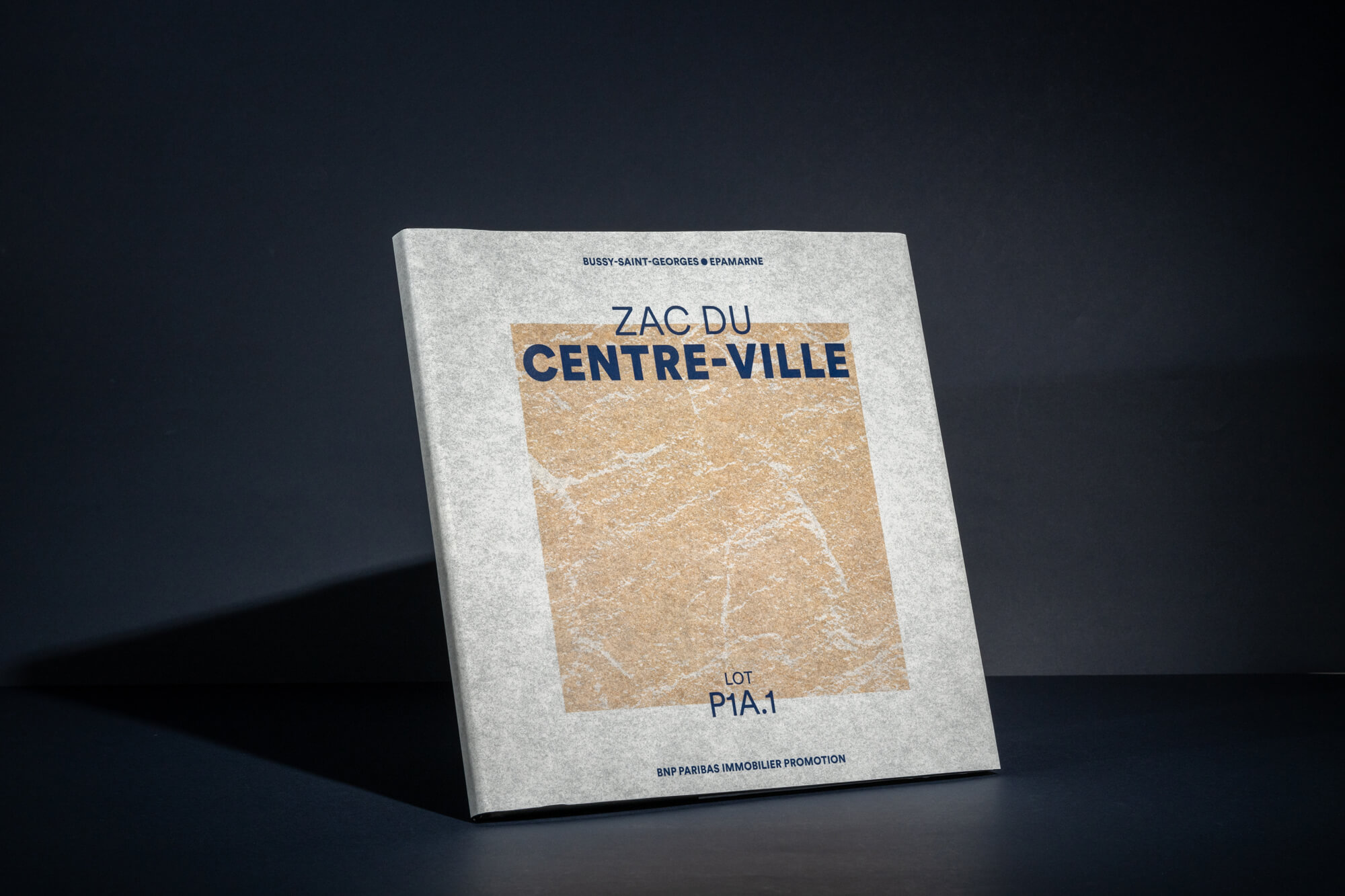 ZAC-du-centre-ville—Comme-Un-Arbre-5